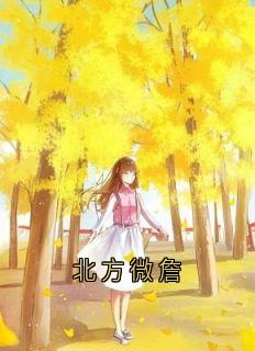 北方微詹