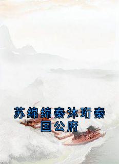 苏绵绵秦沐珩秦国公府