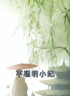 不聪明小妃