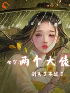 快穿两个大佬别关了不逃了