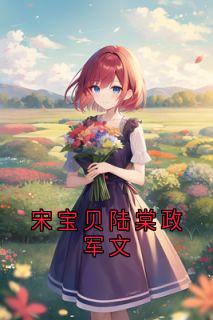 宋宝贝陆棠政军文