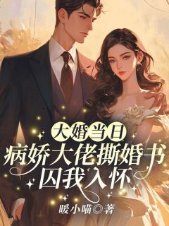 大婚当日，病娇大佬撕婚书囚我入怀