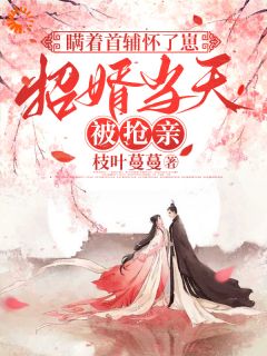 瞒着首辅怀了崽，招婿当天被抢亲