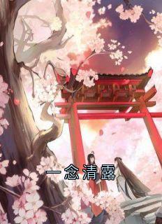 一念清露