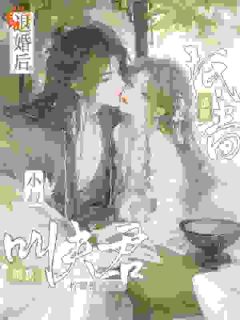 不当话本人物，主母和离惹上权臣
