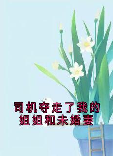 司机夺走了我的姐姐和未婚妻