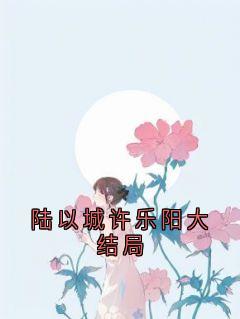 陆以城许乐阳大结局