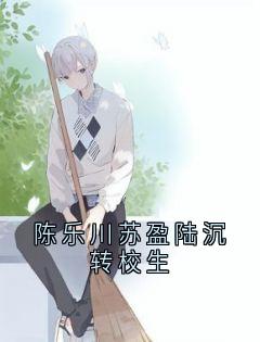 陈乐川苏盈陆沉转校生