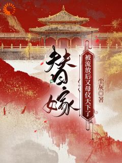 替嫁：被流放后又母仪天下了
