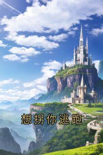 想拐你逃跑