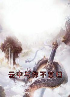 云中与你不复归