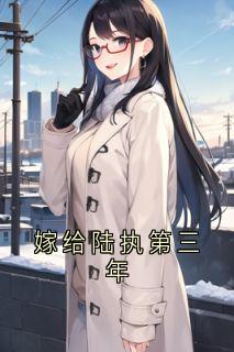 嫁给陆执第三年