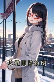 沈稚雨陆执明