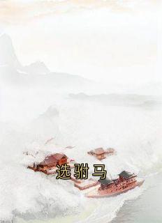 选驸马