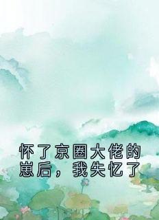怀了京圈大佬的崽后，我失忆了