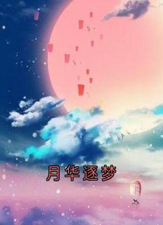 月华逐梦
