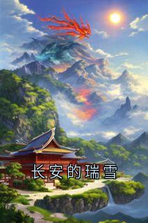长安的瑞雪