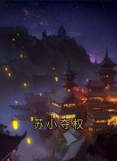 苏小夺权