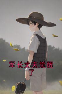 军长丈夫觉醒了