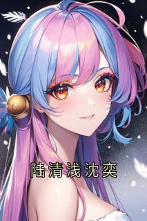 陆清浅沈奕