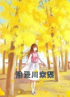陆泾川宋梨