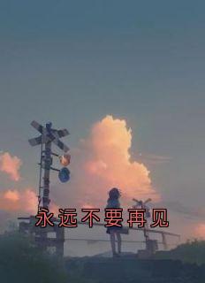 永远不要再见