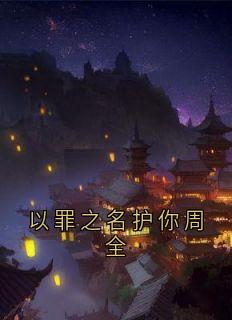 以罪之名护你周全