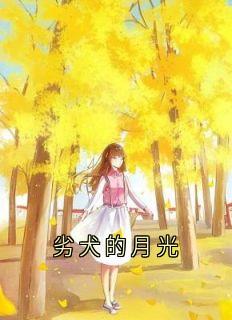 劣犬的月光