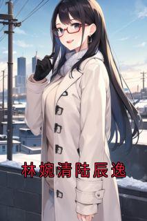 林婉清陆辰逸