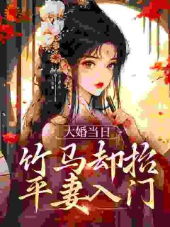 平妻比我先进门？我改嫁权贵冠绝京城