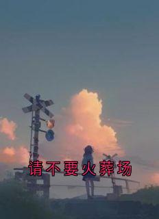 请不要火葬场
