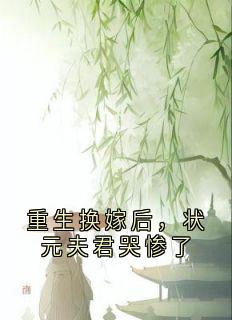 重生换嫁后，状元夫君哭惨了