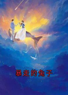 暴走的兔子