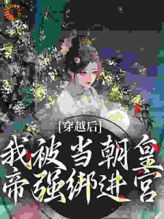 穿越后，我被当朝皇帝强绑进宫
