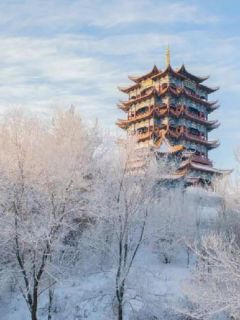 此情不可待
