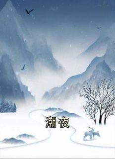 潮夜