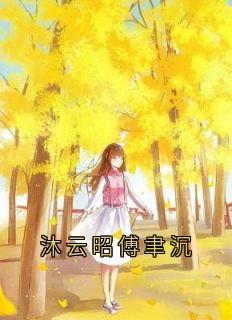 沐云昭傅聿沉