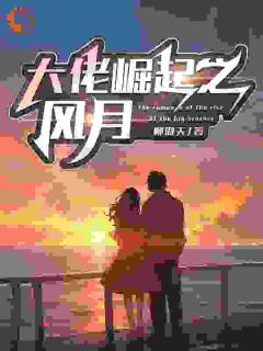 大佬崛起之风月