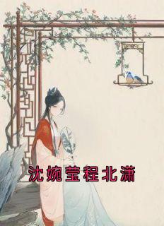 沈婉莹程北潇