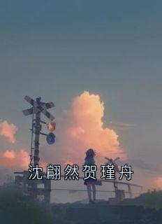 沈翩然贺瑾舟