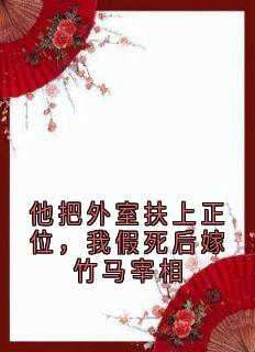 他把外室扶上正位，我假死后嫁竹马宰相