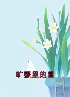 旷野里的星
