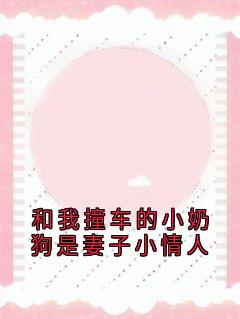 和我撞车的小奶狗是妻子小情人