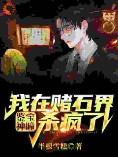 鉴宝神瞳：我在赌石界杀疯了