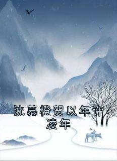 沈慕橙贺以年许凌年