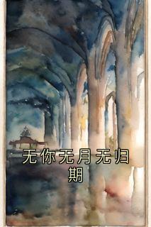 无你无月无归期