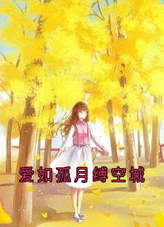 爱如孤月缚空城