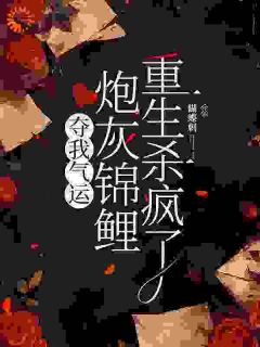 穿书女杜云菲