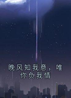 晚风知我意，唯你负我情