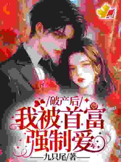 破产后，我被首富强制爱